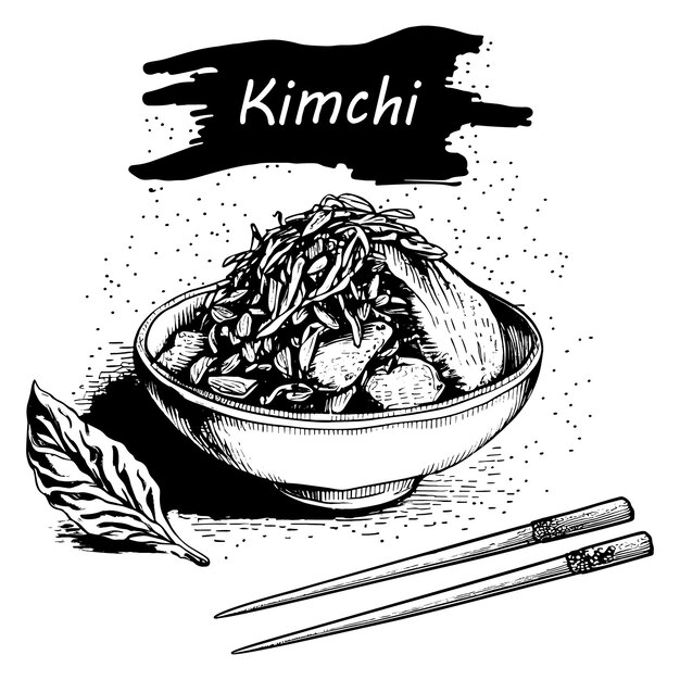 Comida asiática kimchi dibujada a mano
