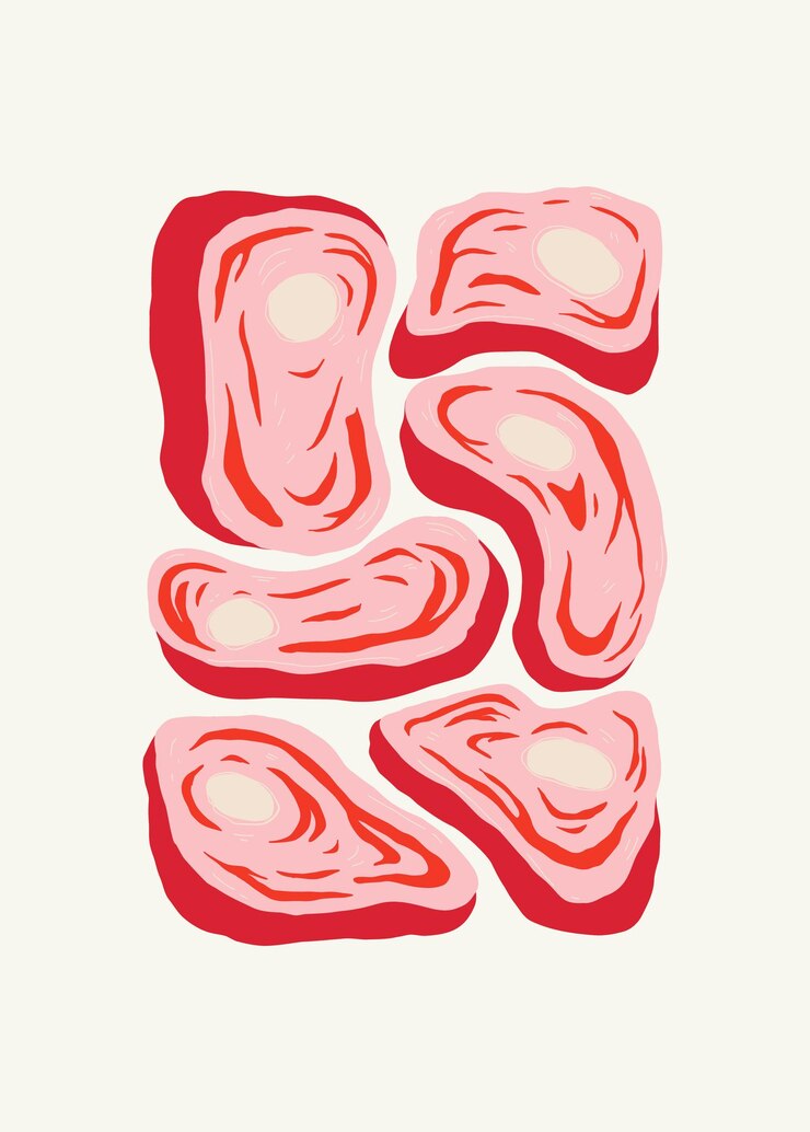 Vector comida elementos abstractos comida y composición saludable estilo minimalista moderno y de moda de matisse restaurante