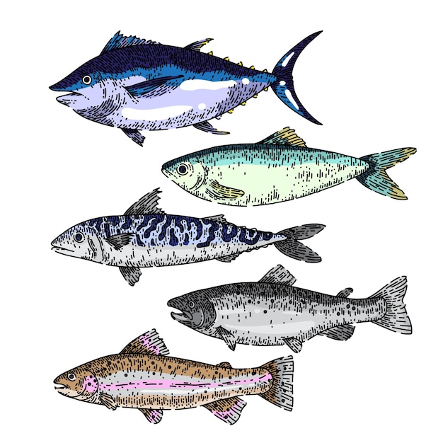 Comida de pescado set sketch vector dibujado a mano
