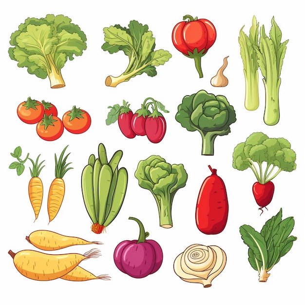 comida vegetariana vector saludable vegetal ilustración orgánica verde fresco dieta vegana natu