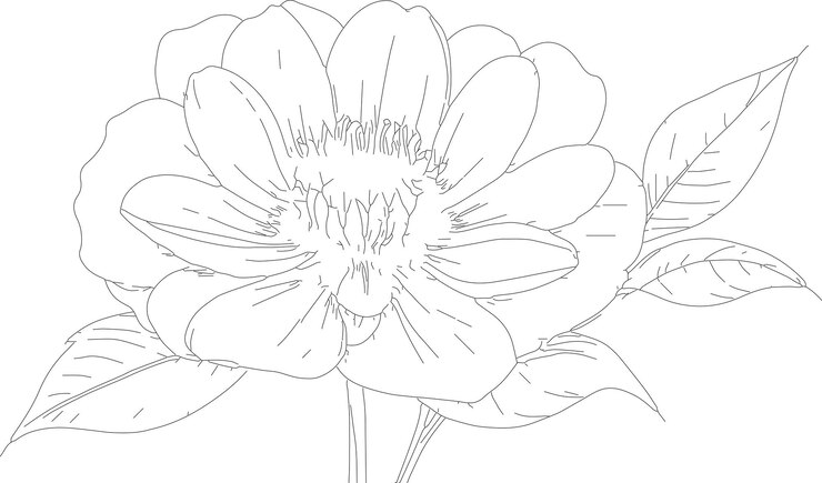 cómo dibujar una flor paso a paso