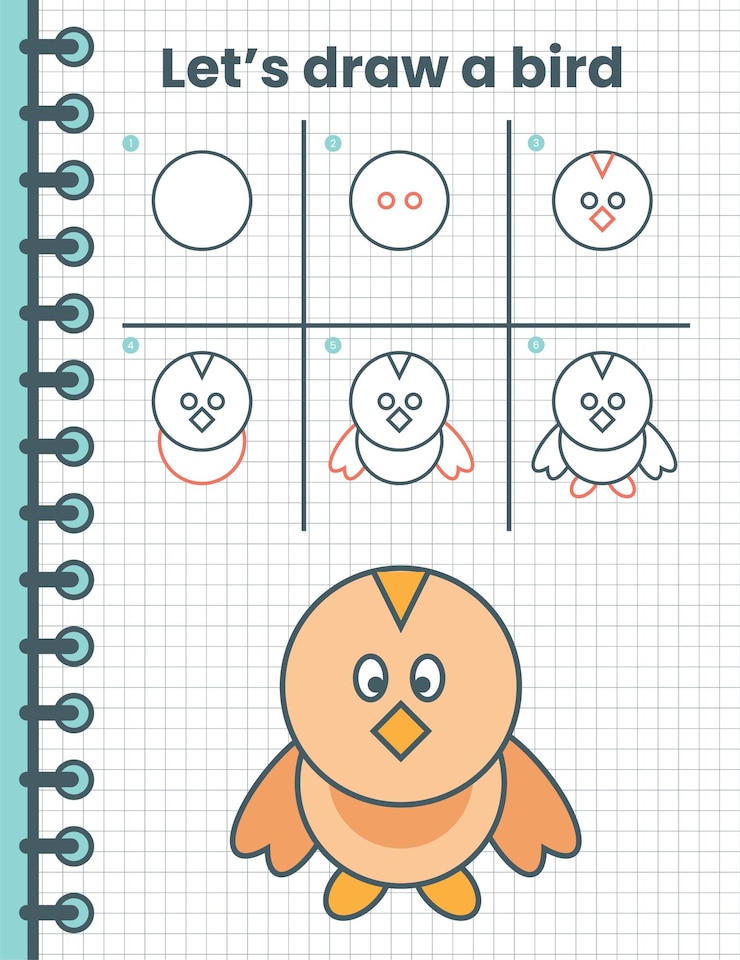 Vector cómo dibujar un pájaro para niños. sencillos pasos de dibujo para niños. ilustración vectorial de animales. animales planos