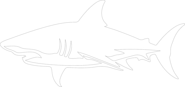cómo dibujar un tiburón con un lápiz paso a paso