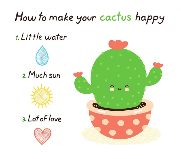 Vector cómo hacer feliz a tu cactus.