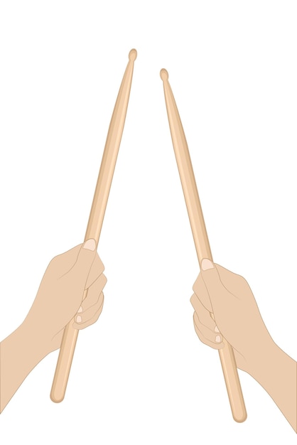 Vector cómo sostener baquetas imágenes vectoriales tipos de instrumentos de percusión música