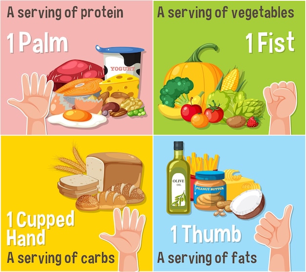 Vector comparar los tamaños de las porciones a mano para una alimentación saludable