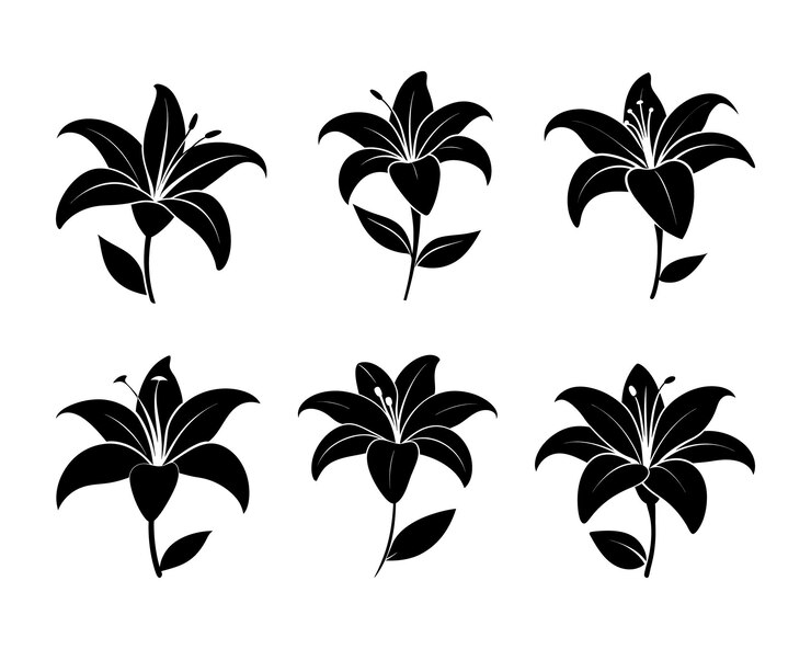 Compilación de elegantes siluetas de flores de lirio con fondo blanco aislado