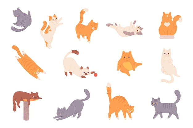 Comportamiento del gato poses felinas personajes de gatos de dibujos animados emociones divertidas gatito naranja asustado mascota animal asustada pose cautelosa y lenguaje corporal mascotas felices ilustración vectorial de gato felino pose animal