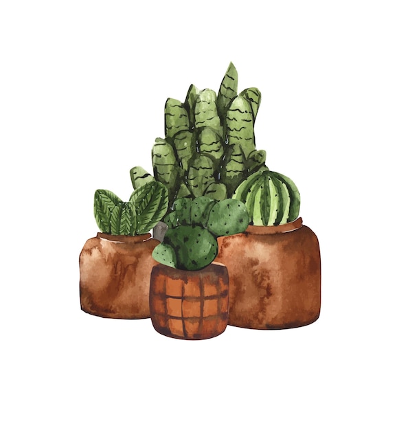 Composición de acuarela con cactus