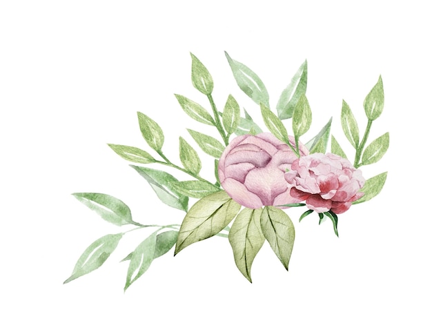 Composición de acuarela con flores y vegetación. ilustración de peonía y hojas.