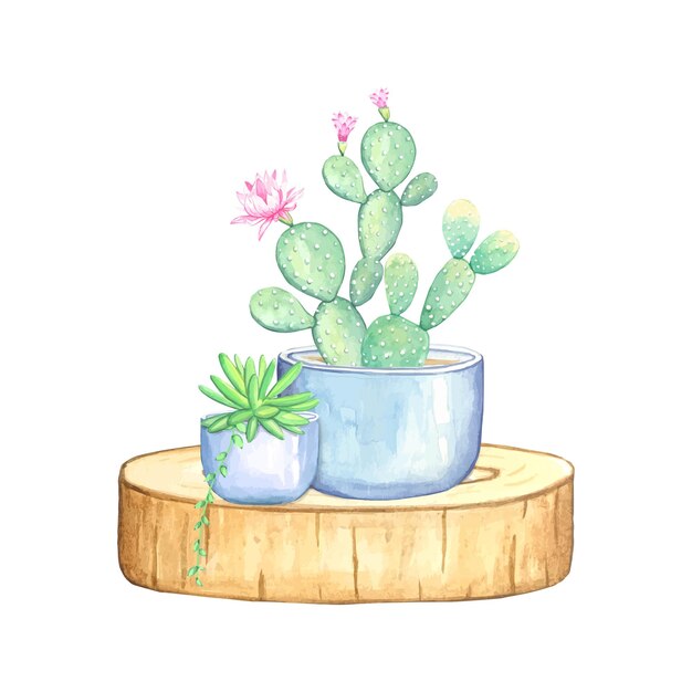 Composición de cactus y suculentas en macetas Ilustración acuarela