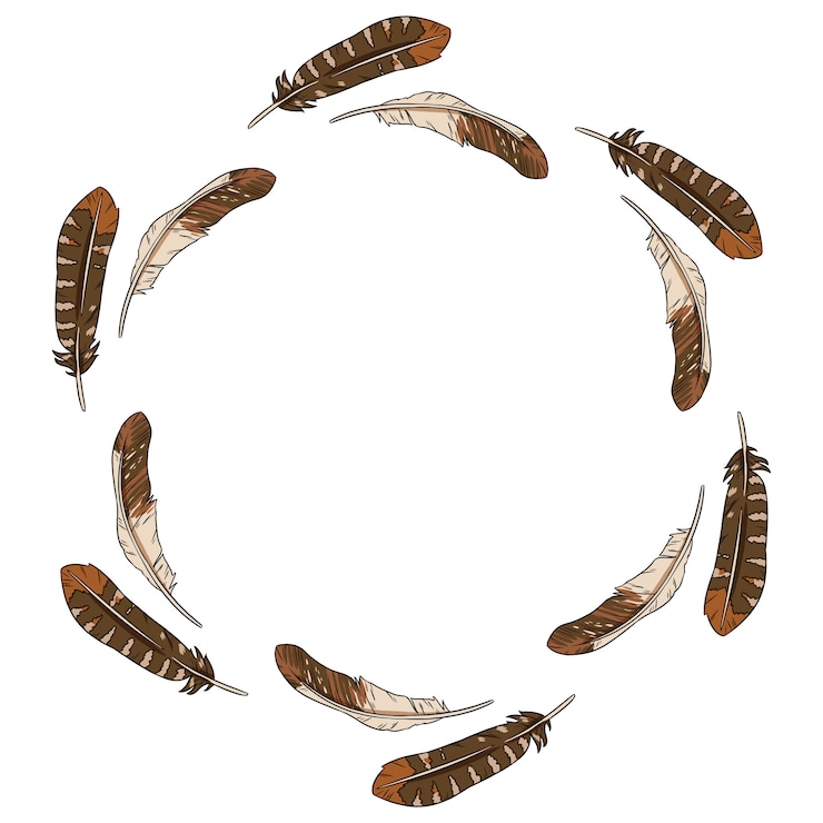 Vector composición de círculo de corona de plumas.