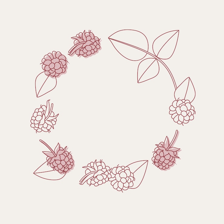 Vector composición de círculo de ilustración vectorial con frambuesas fondo de moda con frambuesas