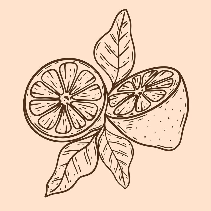 Composición corte limón con hojas ilustración vectorial vintage