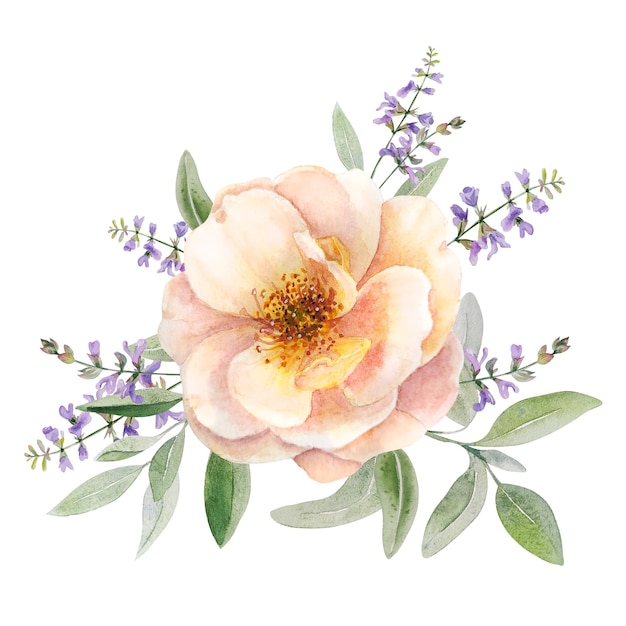 Composición delicada de acuarela con rosas silvestres y hierbas.