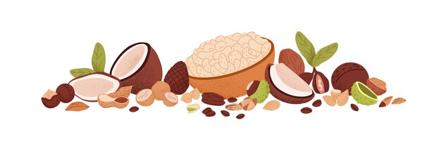 Composición de diferentes nueces Coco, maní, nuez con cáscara, almendra, avellana, varias semillas, granos, cuenco de caju, alimentos orgánicos saludables Ilustración de vector aislado plano en fondo blanco