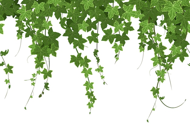 Composición sin fisuras de la frontera de la planta trepadora de hiedra con fila de hojas maduras con seto verde e ilustración vectorial verde