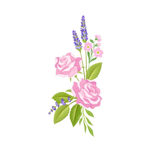 Composición floral del brote tierno de rosa y las ramas de lavanda Ilustración vectorial