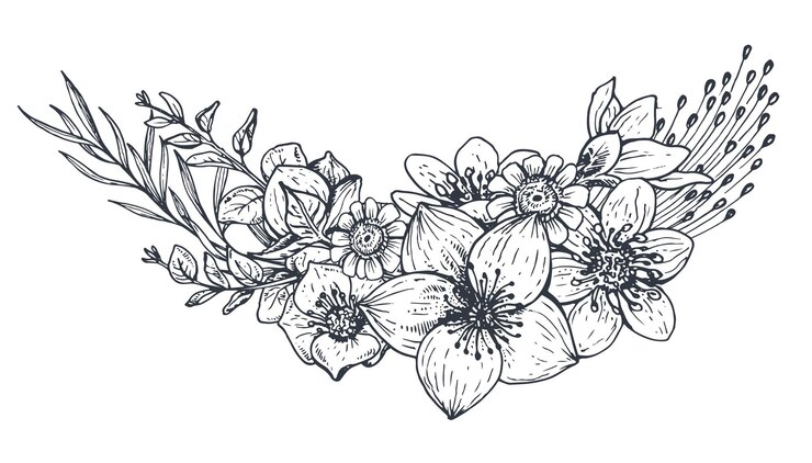 Vector composición floral. flores y plantas dibujadas a mano.