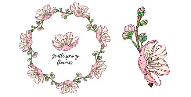 Composición floral con flores de primavera.