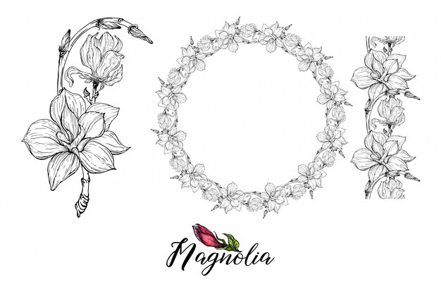 Composición con flores de magnolia