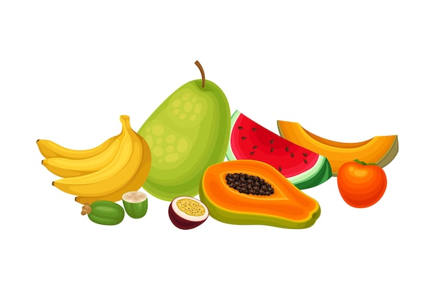Composición de frutas exóticas con rebanada de sandía e ilustración vectorial de papaya