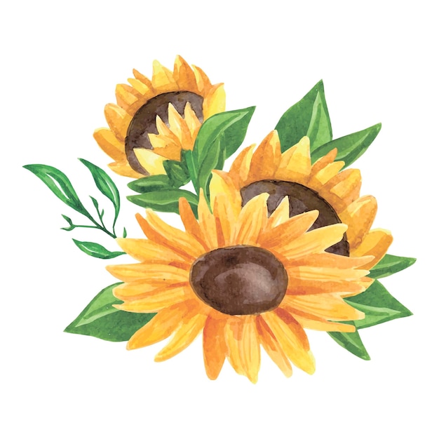 Composición de girasol acuarela Flores amarillas Ilustración vectorial