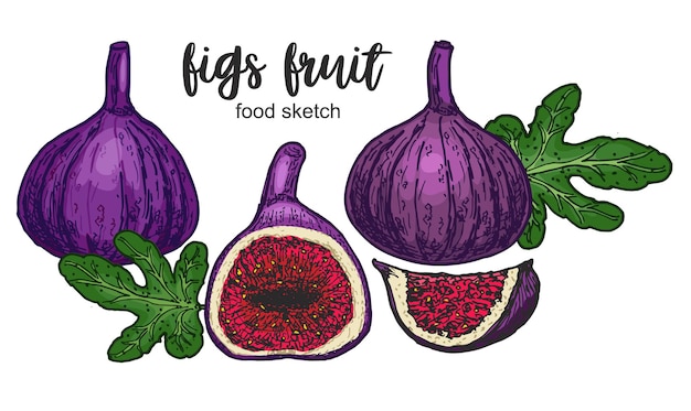 Composición de higos con dibujo de frutas enteras cortadas en estilo boceto colorido