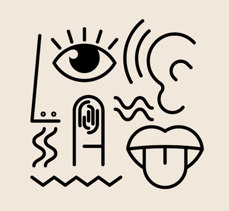 La composición del icono de los cinco sentidos humanos describe los símbolos o iconos de los órganos de los sentidos humanos en blanco