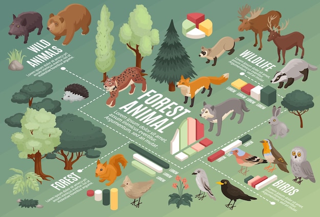 Composición infográfica de animales del bosque