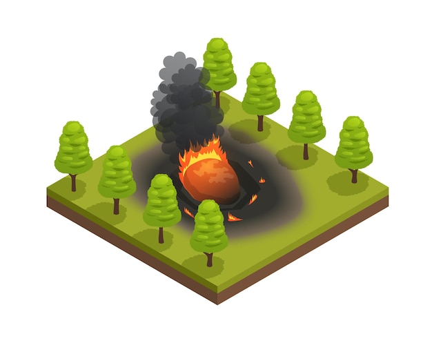 Composición isométrica de desastres naturales con vista del impacto de meteorito caído con fuego y árboles forestales ilustración vectorial