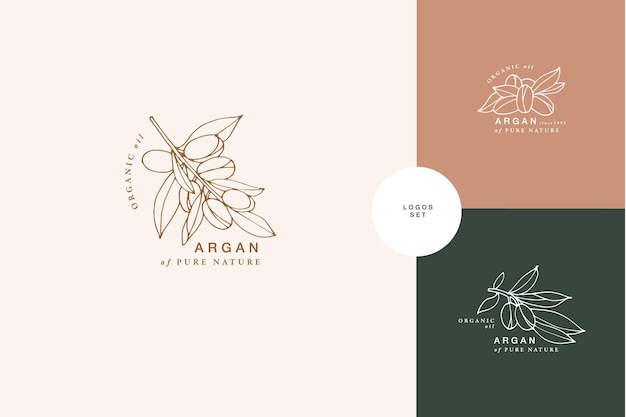 Composición de logotipo de estilo grabado vintage de rama de argán de ilustración vectorial en estilo botánico retro