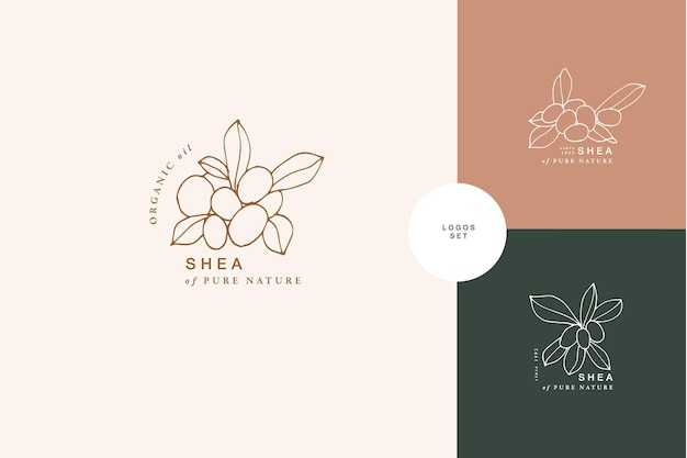Composición de logotipo de estilo grabado vintage de rama de karité de ilustración vectorial en estilo botánico retro