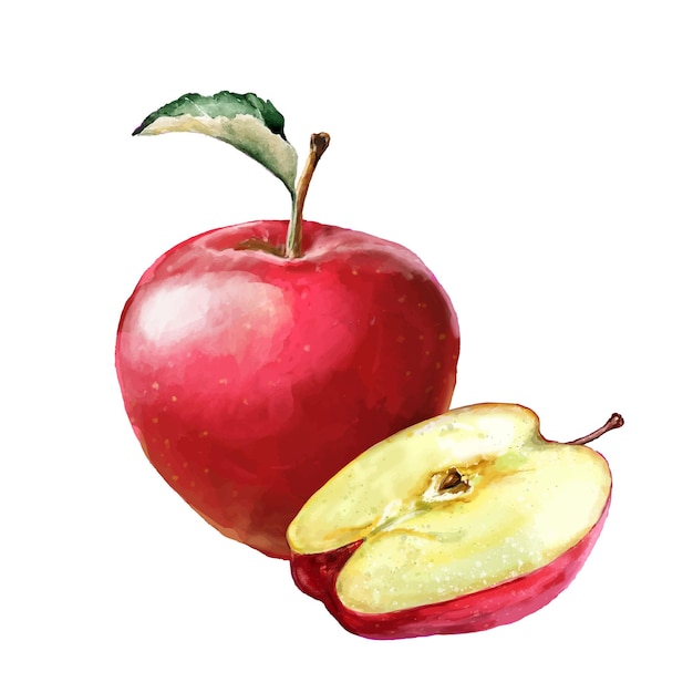 Composición de manzana roja y media manzana con hoja verde ilustración en acuarela del diseño de la fruta