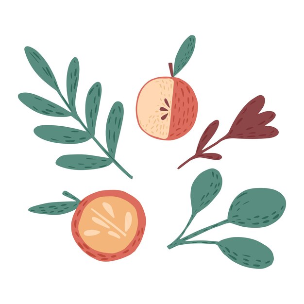 Composición de manzanas, ramitas y flores sobre fondo blanco. boceto botánico escandinavo dibujado a mano en la ilustración de vector de estilo doodle.