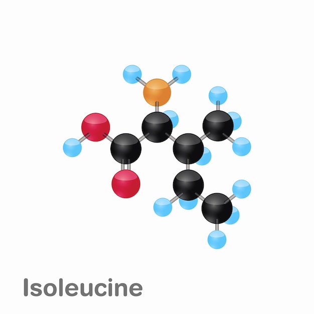 Composición molecular y estructura de la isoleucina Mejor para libros y educación
