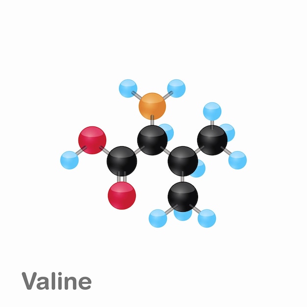 Composición molecular y estructura de la valina Val mejor para libros y educación