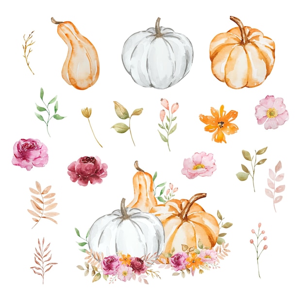 Composición de otoño de calabazas de acuarela y flores de colores pastel