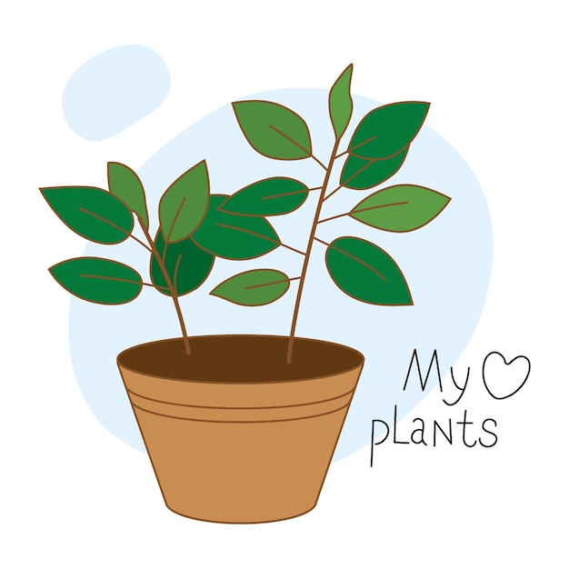 Composición de plantas para el hogar con el signo Mi planta