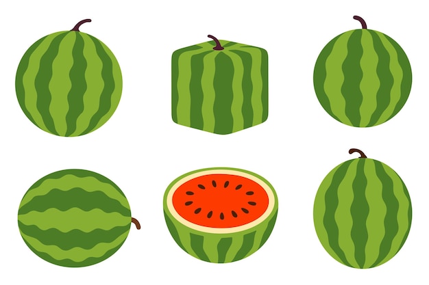 Composición de rebanadas de sandía cubos semillas y fruta entera en un solo diseño