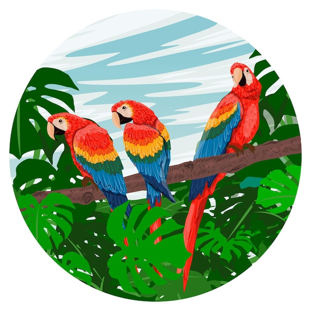 Vector composición redonda una bandada de loros guacamayo escarlata se sienta en las ramas de un árbol tropical