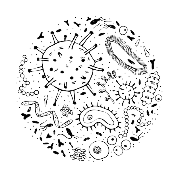 Vector composición redonda de varios microorganismos.