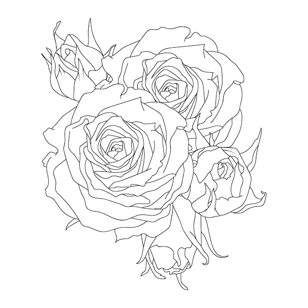 Composición de rosas vector línea arte ilustración