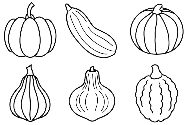 Composición de squash artístico detallado creativo