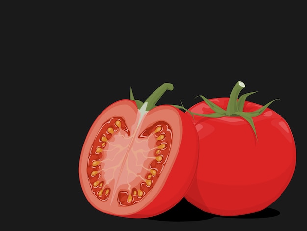 Vector composición de tomates