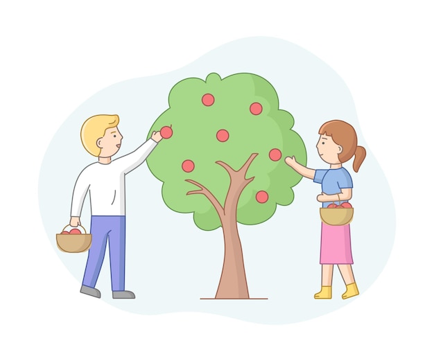 Composición de vectores de dibujos animados con personajes masculinos y femeninos recoger manzanas del árbol. concepto de agricultura estacional. la gente trabaja en el jardín. objetos con contorno.