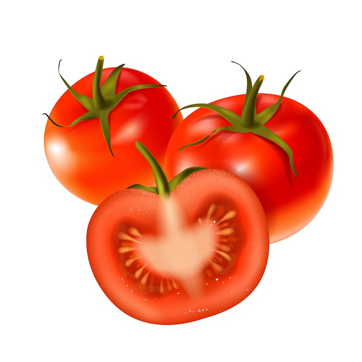 Vector composición vectorial de tomates frescos sobre fondo blanco dos tomates rojos enteros con la mitad en rodajas