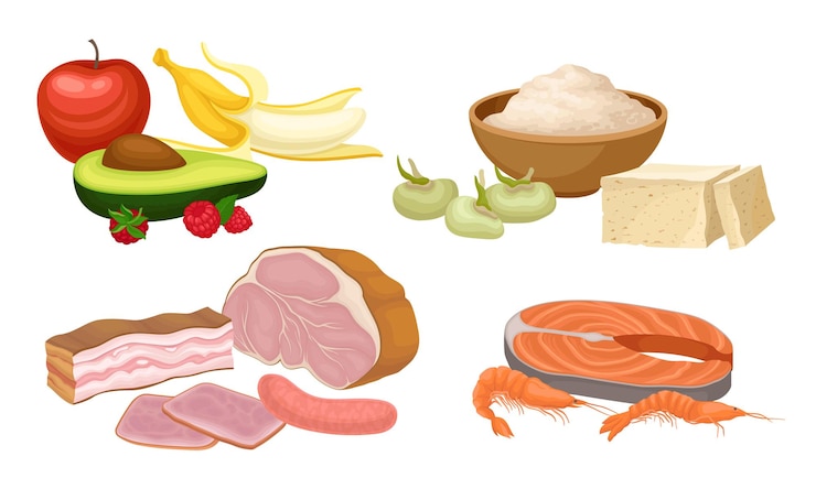 Vector composiciones alimentarias con frutas conjunto vectorial de carne y mariscos
