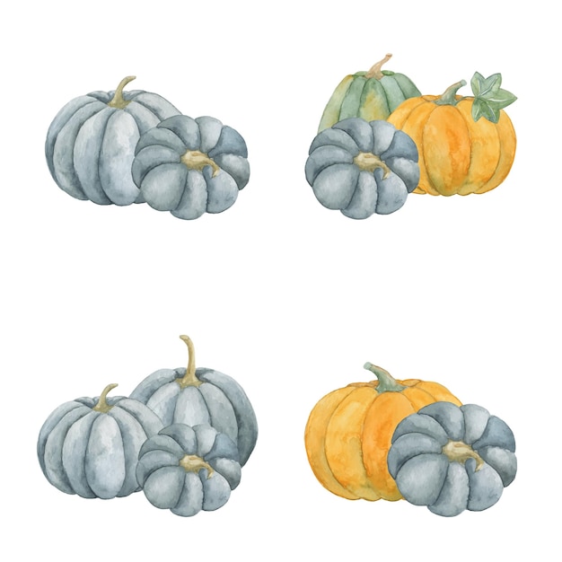 Composiciones de calabaza acuarela dibujadas a mano aisladas sobre fondo blanco