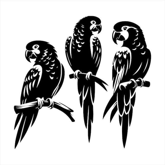 Compra artículos de decoración para el hogar inspirados en loros para iluminar tu espacio